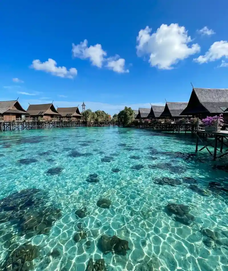 Snorkeling at Kapalai island with Asia Rainforest Resort in the Semporna Islands area to see green sea turtles and fish